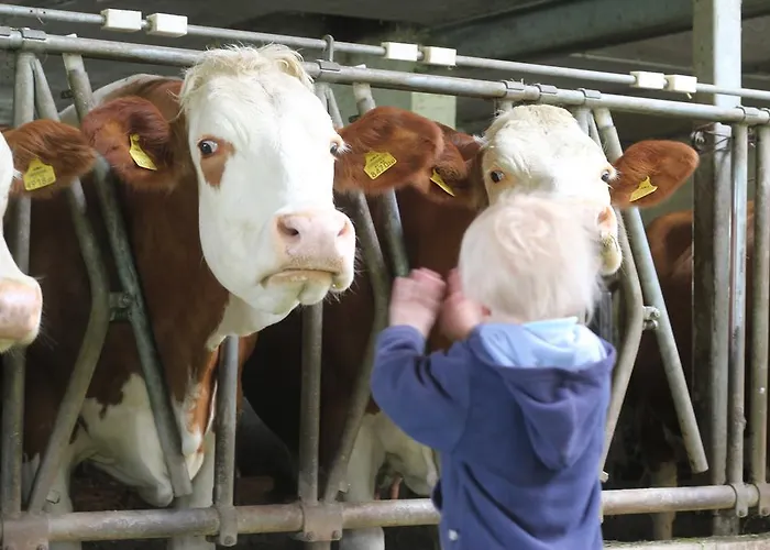 Oberachen Nyaraló Ellmau