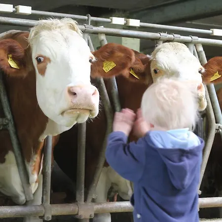 Oberachen Casa vacanze Ellmau